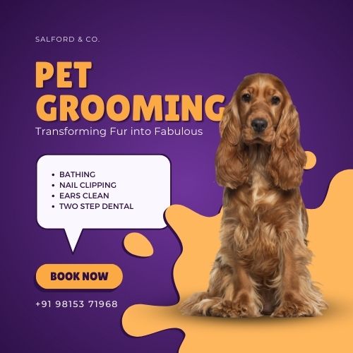 pet grooming