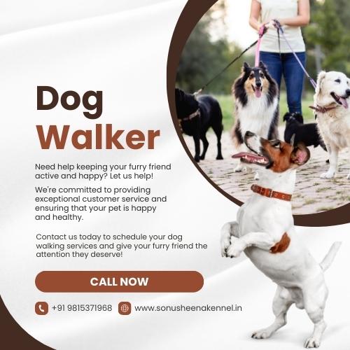 Dog Walking